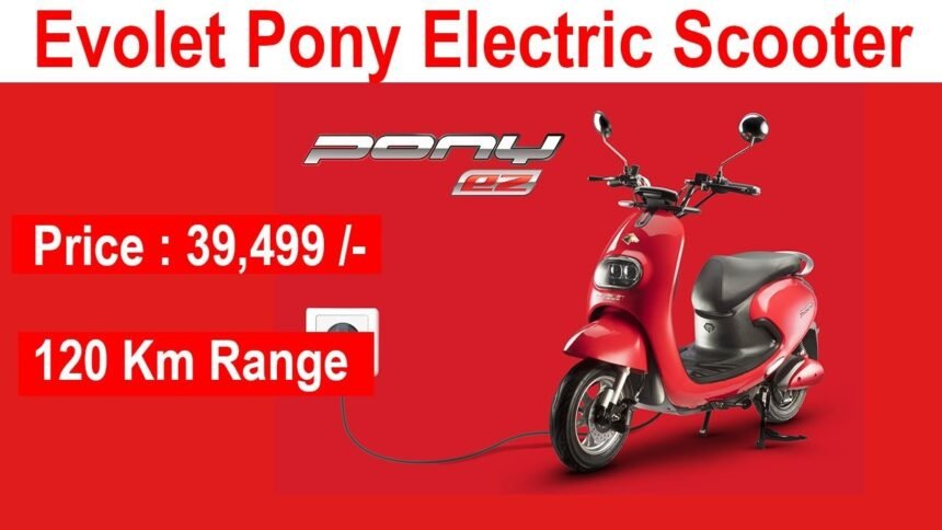 Evolet Pony